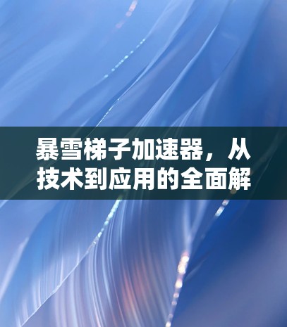 暴雪梯子加速器，从技术到应用的全面解决方案