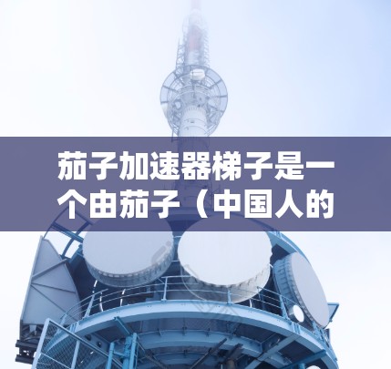 茄子加速器梯子是一个由茄子（中国人的名字）加速器（可能指某种加速或加速装置）和梯子（指机械装置）组成的复合词汇。可能的解释包括