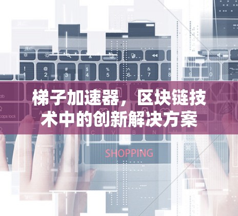梯子加速器,区块链技术中的创新解决方案
