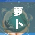萝卜梯子加速器，连接更高效的通信系统