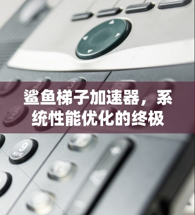 鲨鱼梯子加速器,系统性能优化的终极解决方案