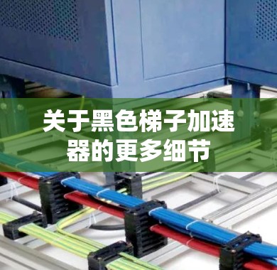 关于黑色梯子加速器的更多细节 关于黑色梯子加速器的更多细节