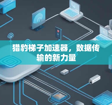 猎豹梯子加速器,数据传输的新力量