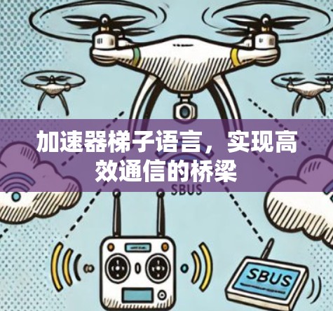 加速器梯子语言,实现高效通信的桥梁
