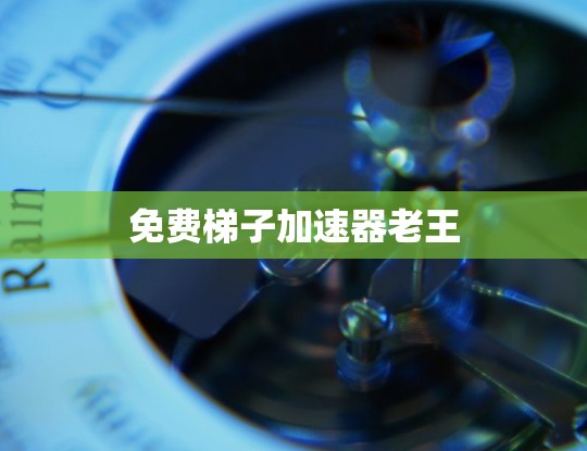免费梯子加速器老王 免费梯子加速器老王