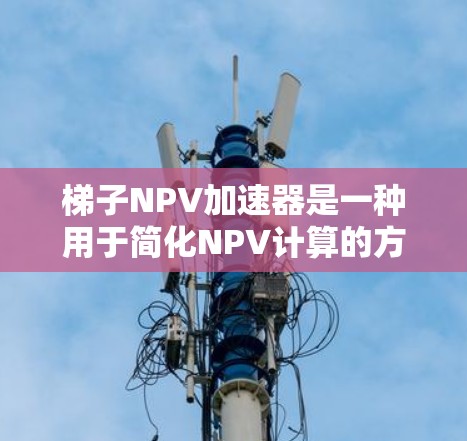 梯子NPV加速器是一种用于简化NPV计算的方法,通过使用特定的积分方法(如梯形法则、梯形法则加三角形法则和梯形法则加抛物线法则)来估计现值。以下是详细的解释