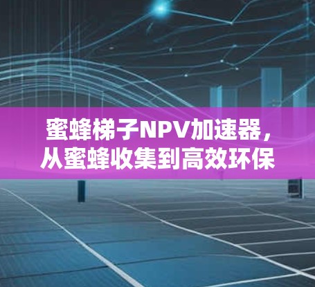 蜜蜂梯子NPV加速器，从蜜蜂收集到高效环保的未来解决方案