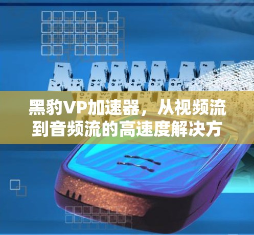 黑豹VP加速器,从视频流到音频流的高速度解决方案 黑豹VP加速器,从视频流到音频流的高速度解决方案
