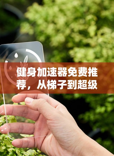 健身加速器免费推荐,从梯子到超级版 健身加速器免费推荐,从梯子到超级版