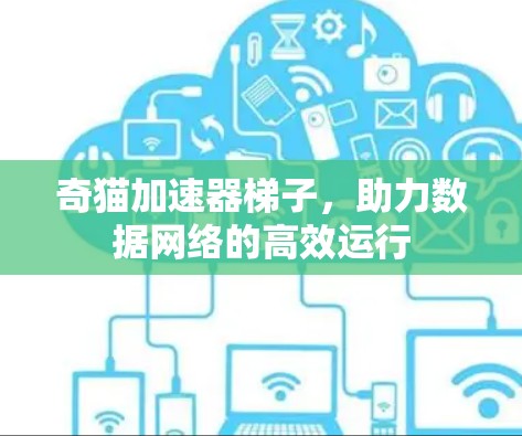 奇猫加速器梯子，助力数据网络的高效运行
