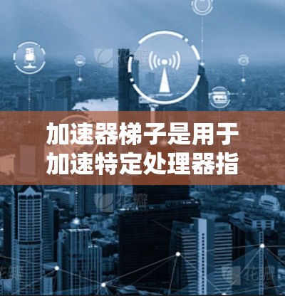 加速器梯子是用于加速特定处理器指令执行的硬件电路,主要包括以下几种类型
