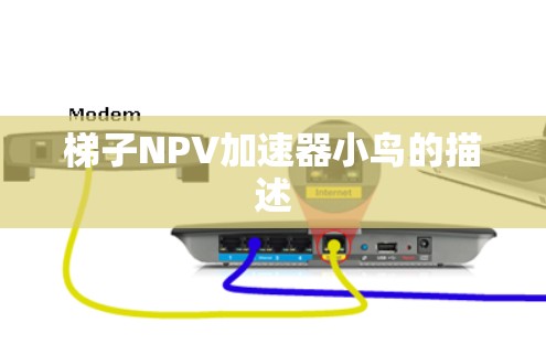 梯子NPV加速器小鸟的描述 梯子NPV加速器小鸟的描述