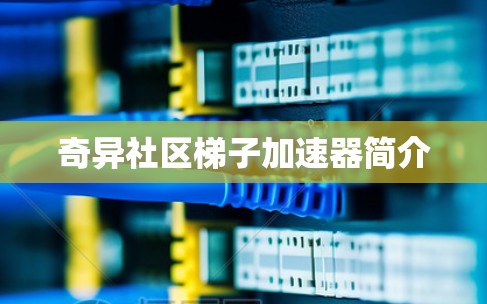 奇异社区梯子加速器简介