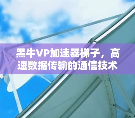 黑牛VP加速器梯子,高速数据传输的通信技术解决方案 黑牛VP加速器梯子,高速数据传输的通信技术解决方案