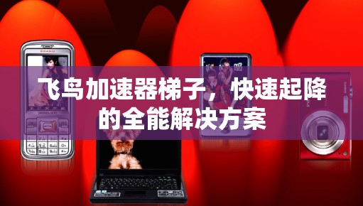 飞鸟加速器梯子,快速起降的全能解决方案 飞鸟加速器梯子,快速起降的全能解决方案