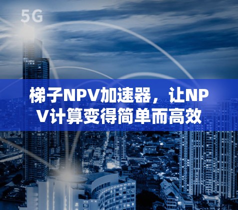 梯子NPV加速器，让NPV计算变得简单而高效