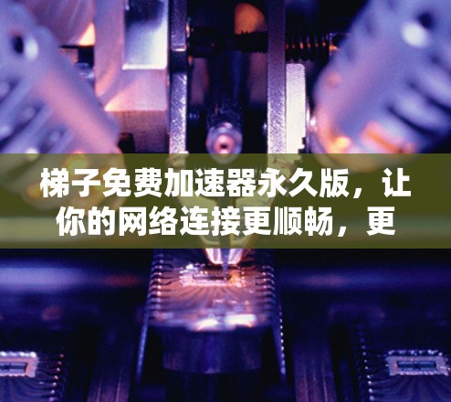 梯子免费加速器永久版,让你的网络连接更顺畅,更快更稳定