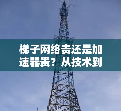 梯子网络贵还是加速器贵？从技术到经济的选择