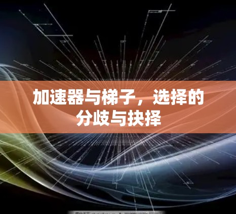加速器与梯子，选择的分歧与抉择