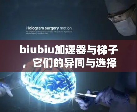 biubiu加速器与梯子,它们的异同与选择 biubiu加速器与梯子,它们的异同与选择