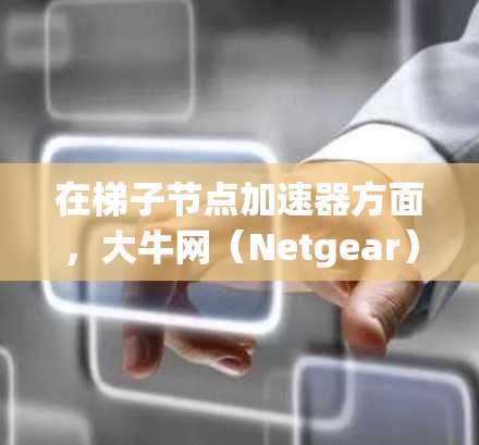 在梯子节点加速器方面,大牛网(Netgear)和HPE(Hyperion)都是知名的网络设备制造商,但在加速器技术上各有特点。以下是它们的比较和综合评价