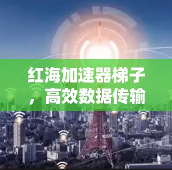 红海加速器梯子，高效数据传输的关键工具