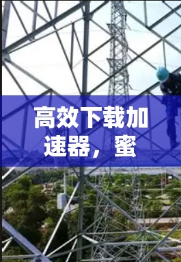 高效下载加速器,蜜蜂永久免费梯子加速器 高效下载加速器,蜜蜂永久免费梯子加速器