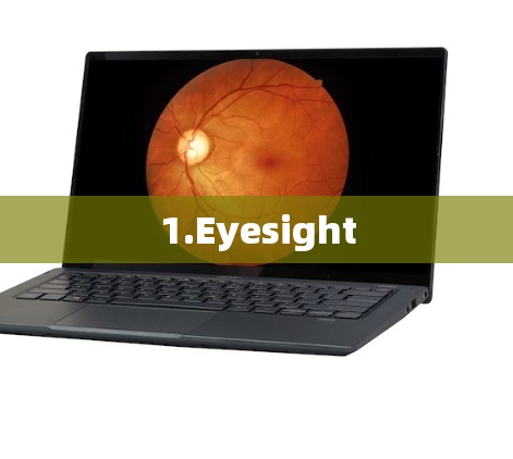 1.Eyesight 1.Eyesight