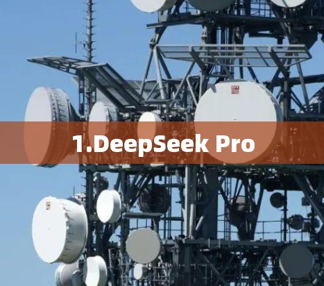 1.DeepSeek Pro