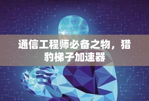 通信工程师必备之物,猎豹梯子加速器 通信工程师必备之物,猎豹梯子加速器
