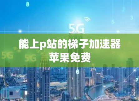 能上p站的梯子加速器苹果免费