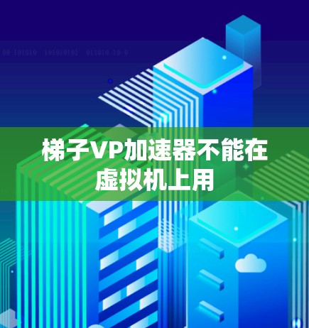 梯子VP加速器不能在虚拟机上用