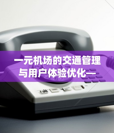 一元机场的交通管理与用户体验优化—Case Study of One Terminal Airport
