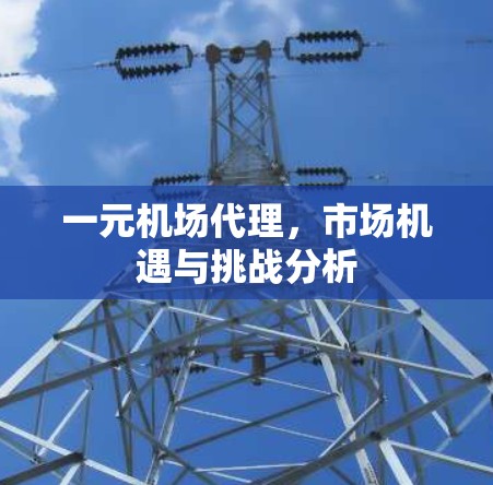 一元机场代理,市场机遇与挑战分析 一元机场代理,市场机遇与挑战分析