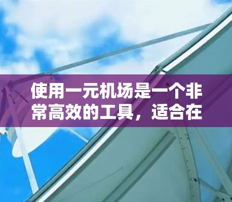 使用一元机场是一个非常高效的工具，适合在一次使用中完成多种任务。以下是逐步的指南，帮助你更好地理解和使用一元机场