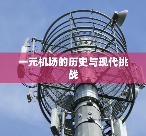 一元机场的历史与现代挑战 一元机场的历史与现代挑战