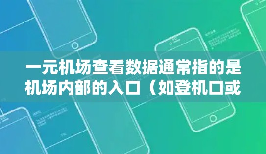 一元机场查看数据通常指的是机场内部的入口（如登机口或起降口）的实时监控和数据分析功能。这类机场通常提供多种方式来查看数据，包括