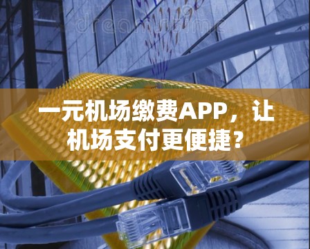 一元机场缴费APP，让机场支付更便捷？