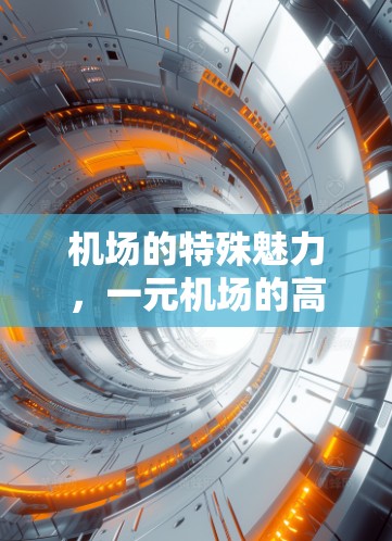 机场的特殊魅力，一元机场的高效运营与服务保障