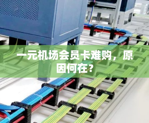 一元机场会员卡难购，原因何在？