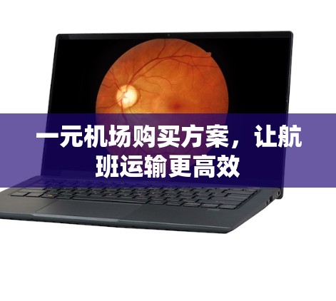 一元机场购买方案，让航班运输更高效