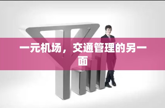 一元机场,交通管理的另一面 一元机场,交通管理的另一面