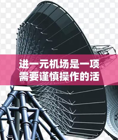 进一元机场是一项需要谨慎操作的活动，以下是一步步的指南