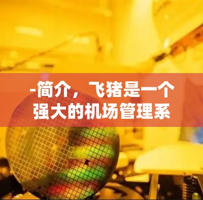 -简介,飞猪是一个强大的机场管理系统,支持登机、出站、行李查询等多种功能 -简介,飞猪是一个强大的机场管理系统,支持登机、出站、行李查询等多种功能