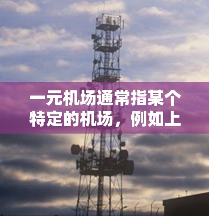 一元机场通常指某个特定的机场，例如上海浦东国际机场，因为这两个城市有很多一元机场。上海浦东国际机场被称为一元机场，因为它位于浦东新区，是整个上海的中心地带之一