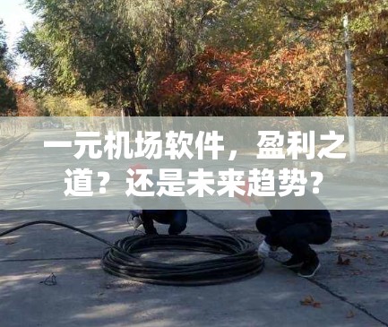 一元机场软件,盈利之道?还是未来趋势? 一元机场软件,盈利之道?还是未来趋势?