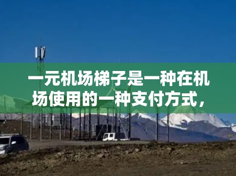 一元机场梯子是一种在机场使用的一种支付方式，通常用于支付1元的费用。以下是使用一元机场梯子支付费用的简单指南