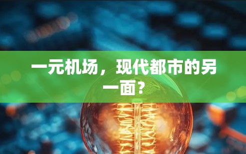 一元机场,现代都市的另一面? 一元机场,现代都市的另一面?