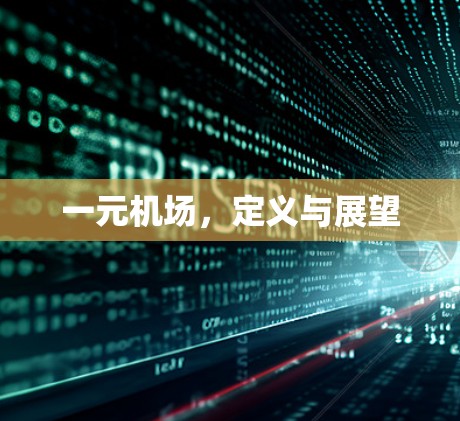 一元机场,定义与展望 一元机场,定义与展望