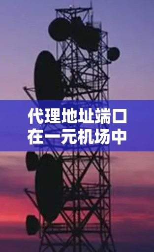代理地址端口在一元机场中用于用户管理和服务分配。以下是详细的步骤说明 代理地址端口在一元机场中用于用户管理和服务分配。以下是详细的步骤说明